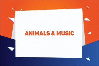 ANIMAL AND MUSIC